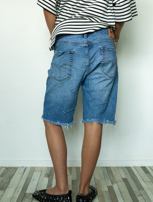 JORTS - no. 21